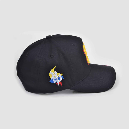 Homage Snapback Hat