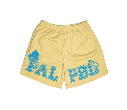 La Playa Mesh Shorts